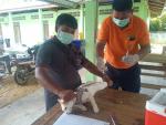 โครงการรณรงค์ป้องกันและควบคุมโรคพิษสุนัขบ้าในตำบลท่าแพ ประจำ