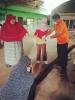 โครงการรณรงค์ป้องกันและควบคุมโรคพิษสุนัขบ้าในตำบลท่าแพ ประจำ