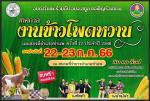 #เทศกาลงานข้าวโพดหวานของดีอำเภอท่าแพ