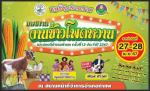 เทศกาลงานข้าวโพดหวานของดีอำเภอท่าแพ ครั้งที่ 13